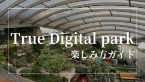 true digital parkサムネ