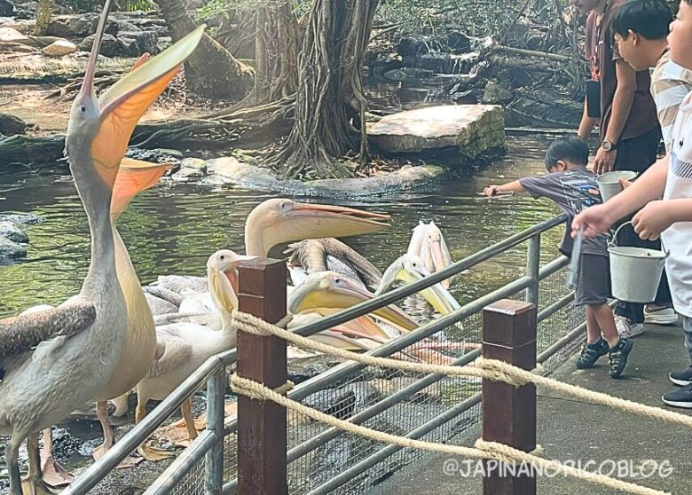 タイ最大級の動物園「サファリワールドバンコク(Safari World bangkok)」行き方・楽しみ方ガイド