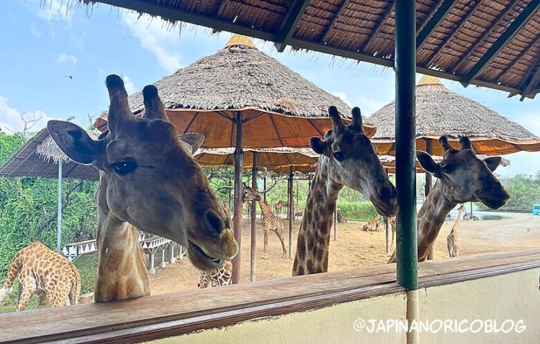 タイ最大級の動物園「サファリワールドバンコク(Safari World bangkok)」行き方・楽しみ方ガイド