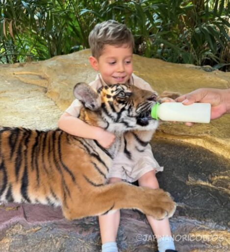 タイ最大級の動物園「サファリワールドバンコク(Safari World bangkok)」行き方・楽しみ方ガイド