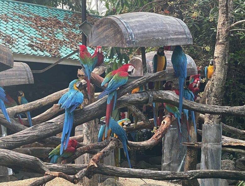 タイ最大級の動物園「サファリワールドバンコク(Safari World bangkok)」行き方・楽しみ方ガイド