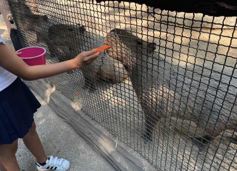 タイ最大級の動物園「サファリワールドバンコク(Safari World bangkok)」行き方・楽しみ方ガイド