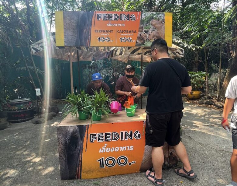 タイ最大級の動物園「サファリワールドバンコク(Safari World bangkok)」行き方・楽しみ方ガイド