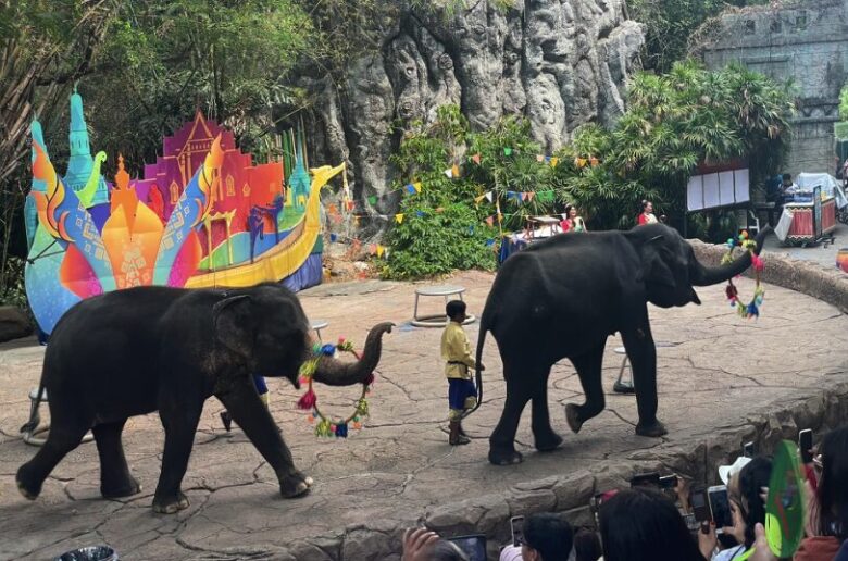 タイ最大級の動物園「サファリワールドバンコク(Safari World bangkok)」行き方・楽しみ方ガイド