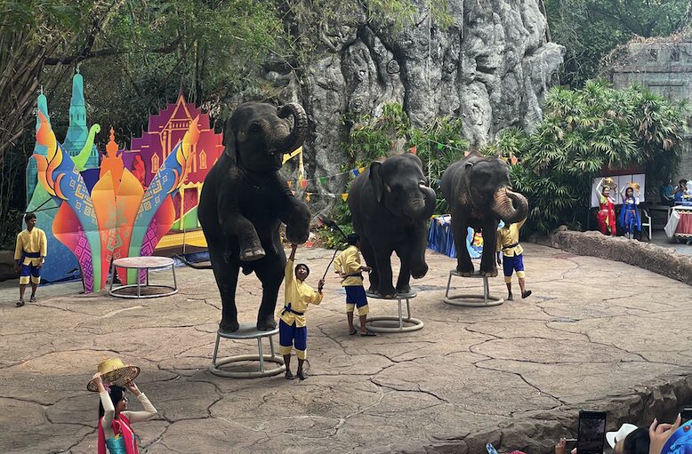 タイ最大級の動物園「サファリワールドバンコク(Safari World bangkok)」行き方・楽しみ方ガイド