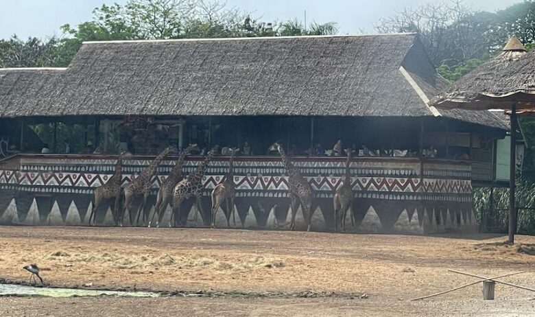 タイ最大級の動物園「サファリワールドバンコク(Safari World bangkok)」行き方・楽しみ方ガイド